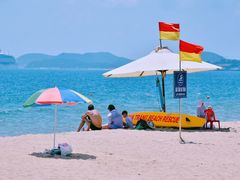 -芽庄喜来登水疗酒店