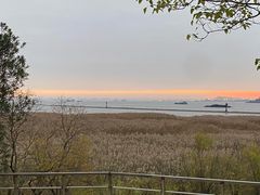 -上海吴淞炮台湾国家湿地公园
