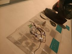 -中国湿地博物馆