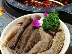 -桃花沅火锅(长嘉汇江景店)