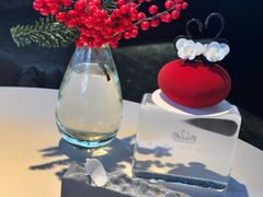 -BLACKSWAN黑天鹅(环球店)