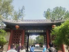 -大槐树寻根祭祖园