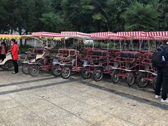-洛阳市隋唐城遗址植物园