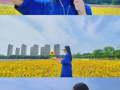 -映月湖中央公园