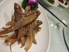 -金米箩大酒店(五角场店)
