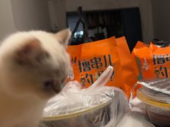 -胖子烧烤(圣地亚哥店)