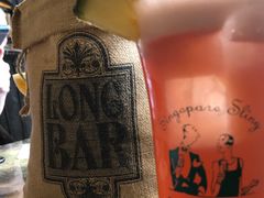 -Long Bar(莱佛士酒店)