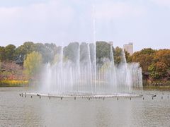 -南汇桃花村