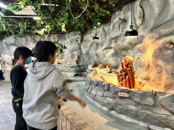 -Zoolung Zoolung动物主题公园(海信广场店)