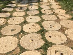 -千年银杏谷文化旅游区