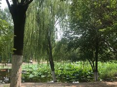 -南翠屏公园