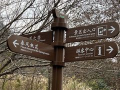 -金子山原生态旅游风景区