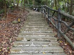 -清溪大王山森林公园