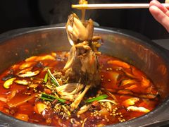 牛蛙-宽口美蛙鱼头(大唐西市店)