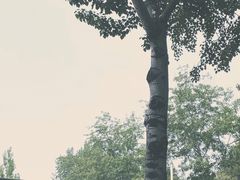 -北京理工大学(中关村校区)