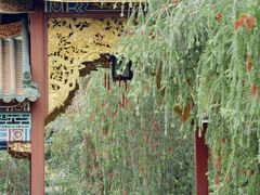 -宝墨园景区