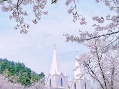 -团城山公园