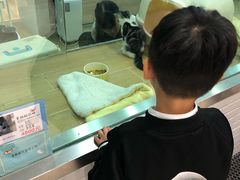 -山崎面包(苏州中心店)