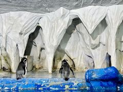 -太平洋海底世界