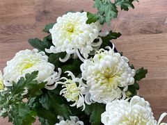 -天毓山庄·餐厅