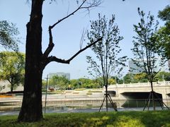 -大望京公园