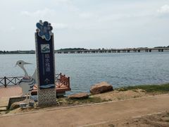 -丁香湖公园