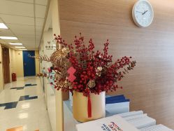 点击看大图 -杭州贝瑞斯美华妇儿医院·早孕·产检·儿科