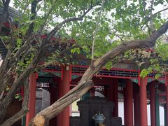 -宫事颐庭·老佛爷贵寿下午茶(颐和园店)