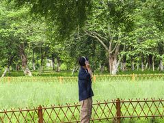 -艾溪湖湿地公园