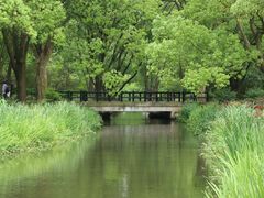 -上海共青森林公园