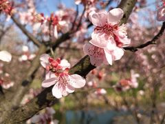 -石塘人家