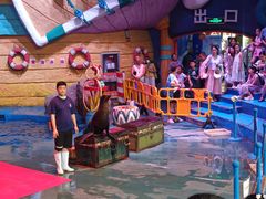 -烟台海昌鲸鲨海洋公园