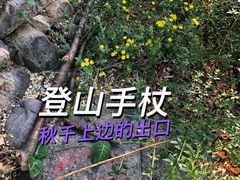 -阳台山自然风景区