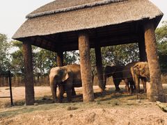 -清迈夜间动物园