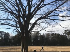 -井之头恩赐公园
