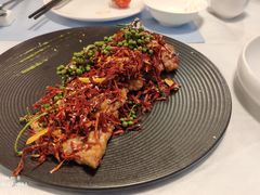 -乾园(恒隆广场店)