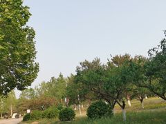 -太阳宫公园