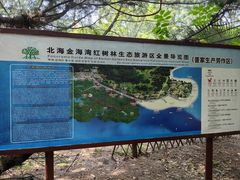 -北海金海湾红树林生态旅游区