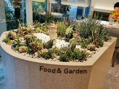 -春树下·树屋花房西餐厅(罍街AS1980店)