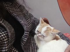 -万小咖.猫咖(中山路天虹店)