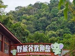 -野象谷景区