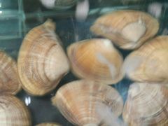 -兴隆海鲜菜馆