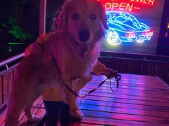 -枫花园汽车电影院(朝阳公园店)