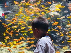 -太平洋海底世界