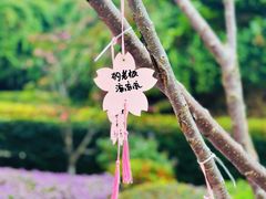 -狐尾山公园