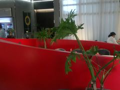 -鑫悦诚府·新鲁菜·餐厅(趵突泉店)