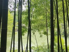 -宝岩生态观光园