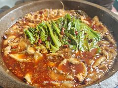 -都江堰石锅鱼
