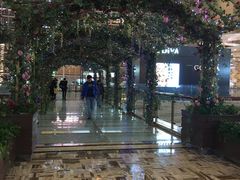 -冠军冰场(环球中心店)