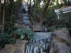 -广州市流溪河国家森林公园